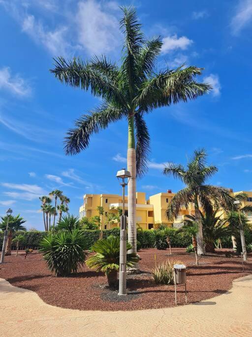 Homely Apt In Modern Building With Pool San Miguel de Abona Bagian luar foto
